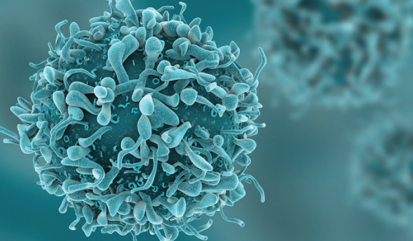 Clinical Oncology Department